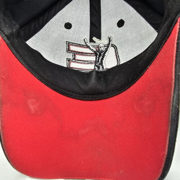 Dale Earnhardt Day Cap Hat Hook And Loop Closure Black - Picture 3 of 9